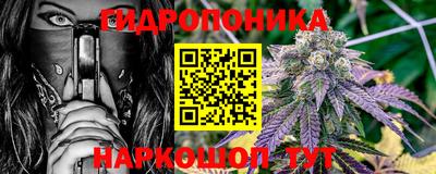 прущие крисы Ипатово