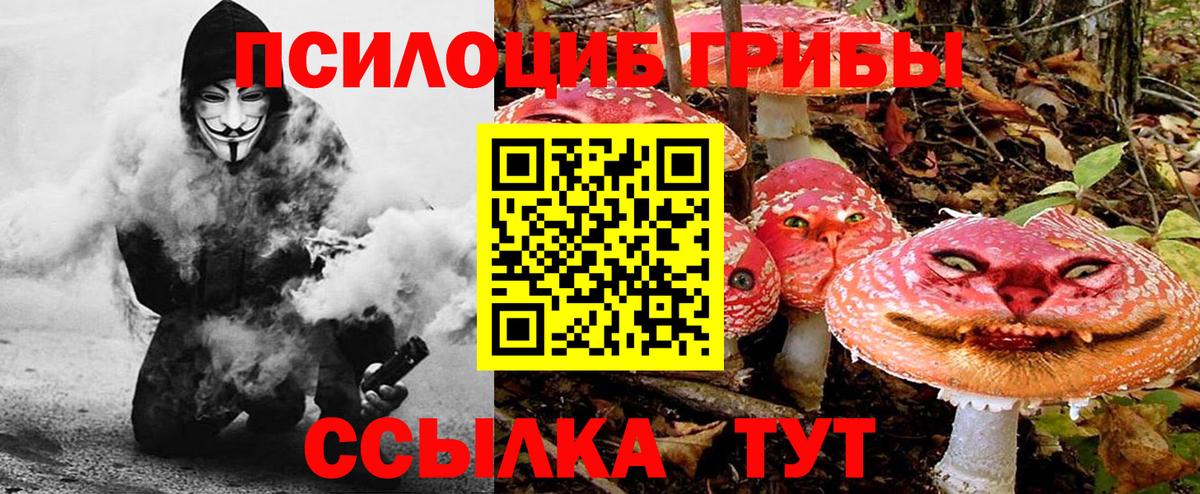 Галлюциногенные грибы MAGIC MUSHROOMS  Вход с VPN  Кушва  Галлюциногенные грибы мицелий 